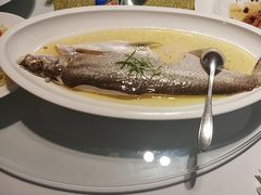 -席家花园(巨鹿花园店)