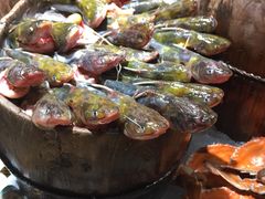 -常州环球恐龙城维景国际大酒店