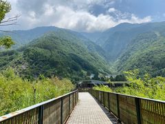 -卧龙中华大熊猫苑神树坪基地