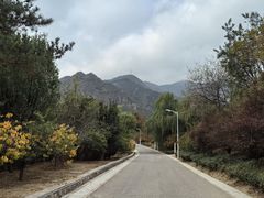 -北京鹫峰国家森林公园