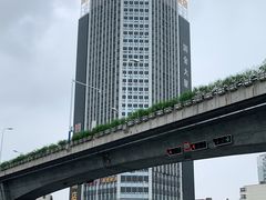 -栖巢咖啡馆(双岗店)