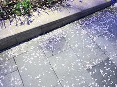 -ZARAHOME(虹桥南丰城店)