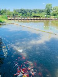 -汉石桥湿地童趣乐园