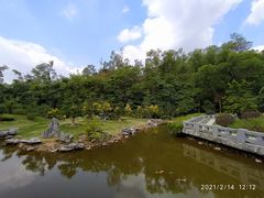 -深圳仙湖植物园