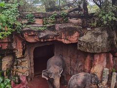 -长鹿旅游休博园