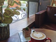 盆栽-咖法森林·咖啡  酒吧(天河店)