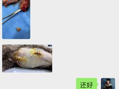 -守诺宠物医院·眼科· 特色牙科·异宠专科(虹口店)