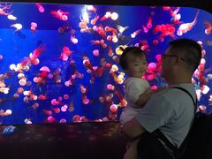 -成都浩海立方海洋公园