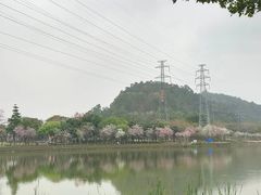 -顺峰山公园