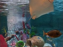 -沈阳海洋探索中心