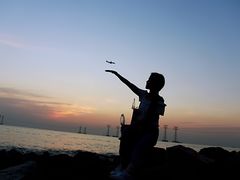 -宝安西湾红树林湿地公园