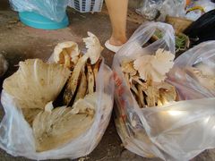 -南坛综合农贸市场