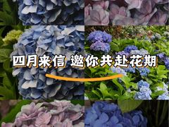 -大金鹰园