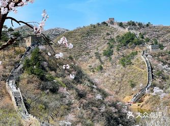 北京周末踏青遛娃露营打卡网红咖啡厅
