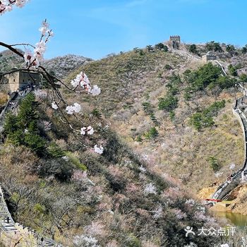北京周末踏青遛娃露营打卡网红咖啡厅