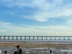 -宝安西湾红树林湿地公园