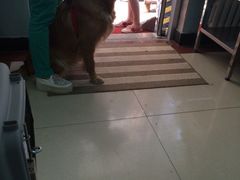 iphone_upload_pic-纳吉亚猫专科动物诊疗中心(蒋宅口分院)