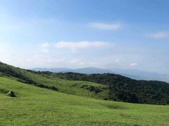 -大姆山草场