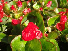 -上海不夜城广场(上海不夜城金融大厦店)