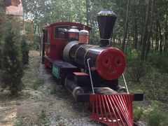 -合肥滨湖国家森林公园