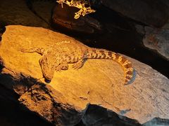 -泉城欧乐堡海洋极地世界