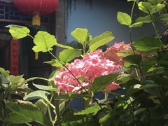 -万柳阁小馆·花园餐厅(龙潭湖店)