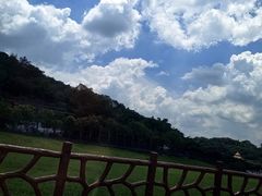 -乐和乐都动物主题乐园