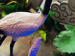 -韵秋荷(宝山龙湖天街店)
