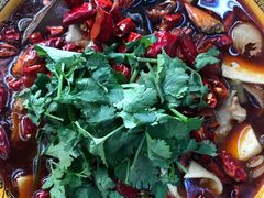 -成都驻京办餐厅(蜀都宾馆店)