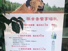 -御宝贝24h宠物医院·转诊中心·CT核磁血透中心(厦门总院)