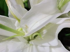 -INLOVE KTV(文一店)