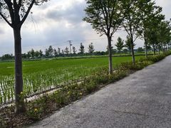 -嘉北郊野公园
