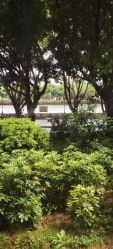 -莉泽月子中心(凯旋江景店)