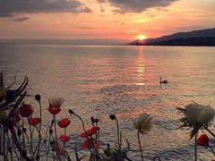 -松山湖南湖湾露营营地