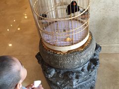 -月亮河温泉度假酒店