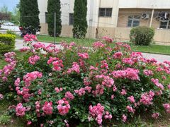 -西北农林科技大学(北校区)