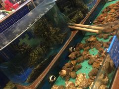 水产区-蓝港海鲜厨房(金水路店)