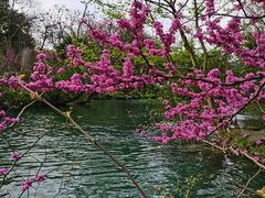 -贵阳市花溪国家城市湿地公园