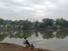 -东湖落雁景区