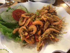 -Draft Beer Restaurant & Bar