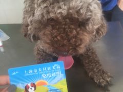 -畜牧兽医站(共江路店)