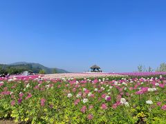 -径山花海