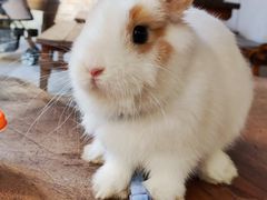-茶米人台湾料理·精致快简餐