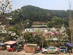 -楠柏弯休闲山庄(梨花溪店)