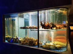 -海派悦庭·海胆烧麦·新融合菜(凯德广场店)