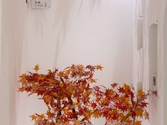 -和里合·颜愈SPA·Relax瑶浴·Massage(石厦店)