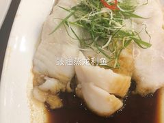 -椿记烧鹅(北门店)