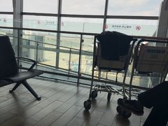 -青岛胶东国际机场