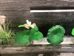 -大榕树下顺德菜(融创茂店)
