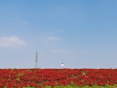 -迪茵湖田家舍生态农场